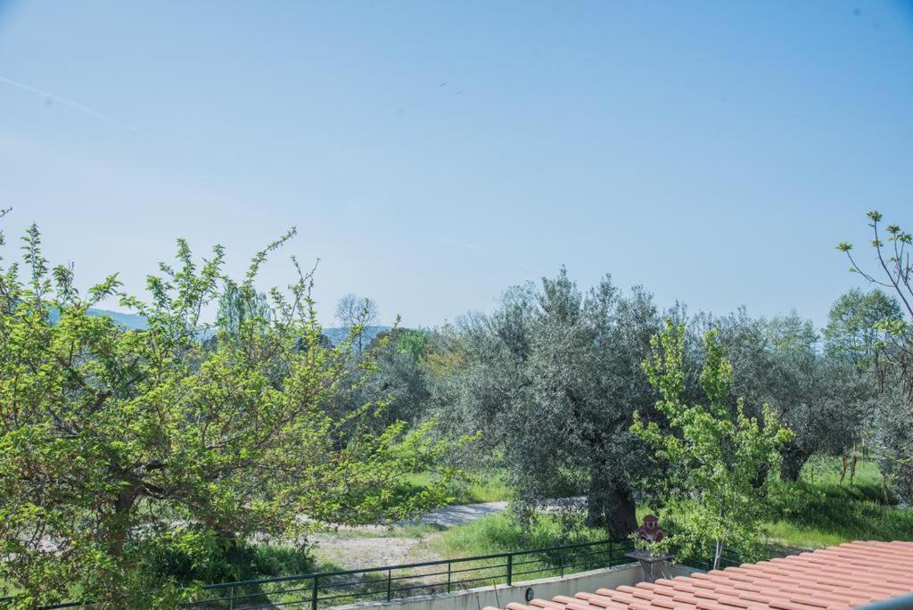 Diogenis Villa Vourvourou Exterior foto