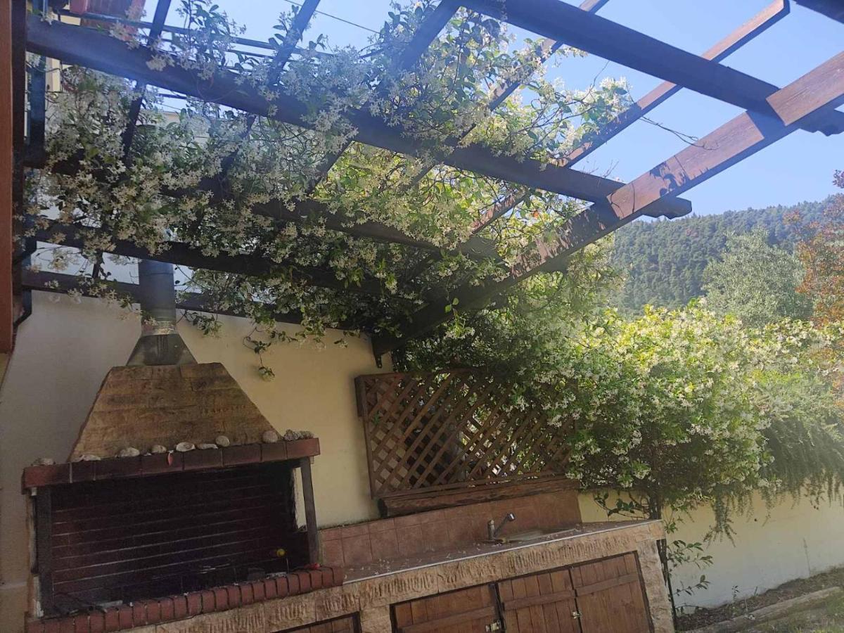 Diogenis Villa Vourvourou Exterior foto